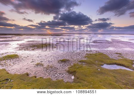 Land Reclamation