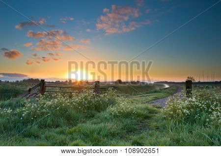 Spring Landscape In May