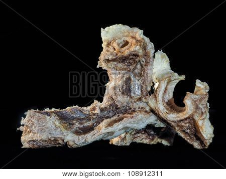 Unusual stuff, like old bone