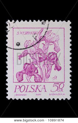 Polen - ca. 1968: Eine Briefmarke - Blume