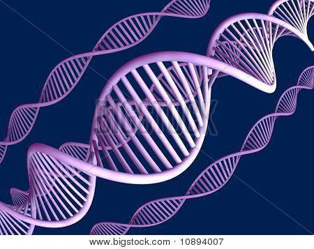 DNA