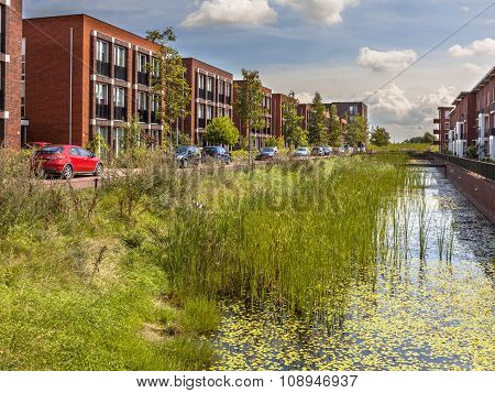 Eco Friendly Urban Street