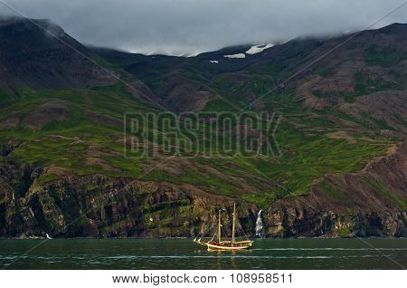 Whale watching tour from old sailing ship at Husavik bay area