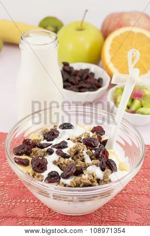 Healthy Macrobiotic Breakfast With Cereals And Milk