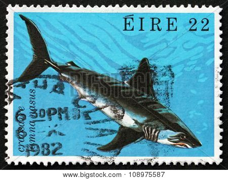 Postage Stamp Ireland 1982 Porbeagle Shark