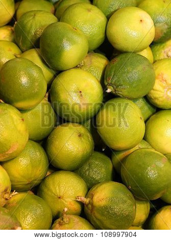 Bergamia Citrus Or Green  Bergamot  For Sale To The  Italian Greengrocery