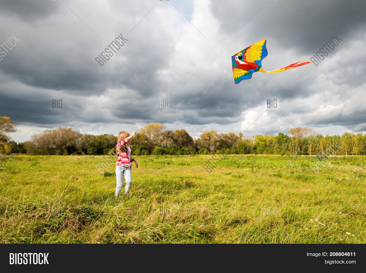 Beautiful Young Girl Image & Photo (Free Trial) Bigstock