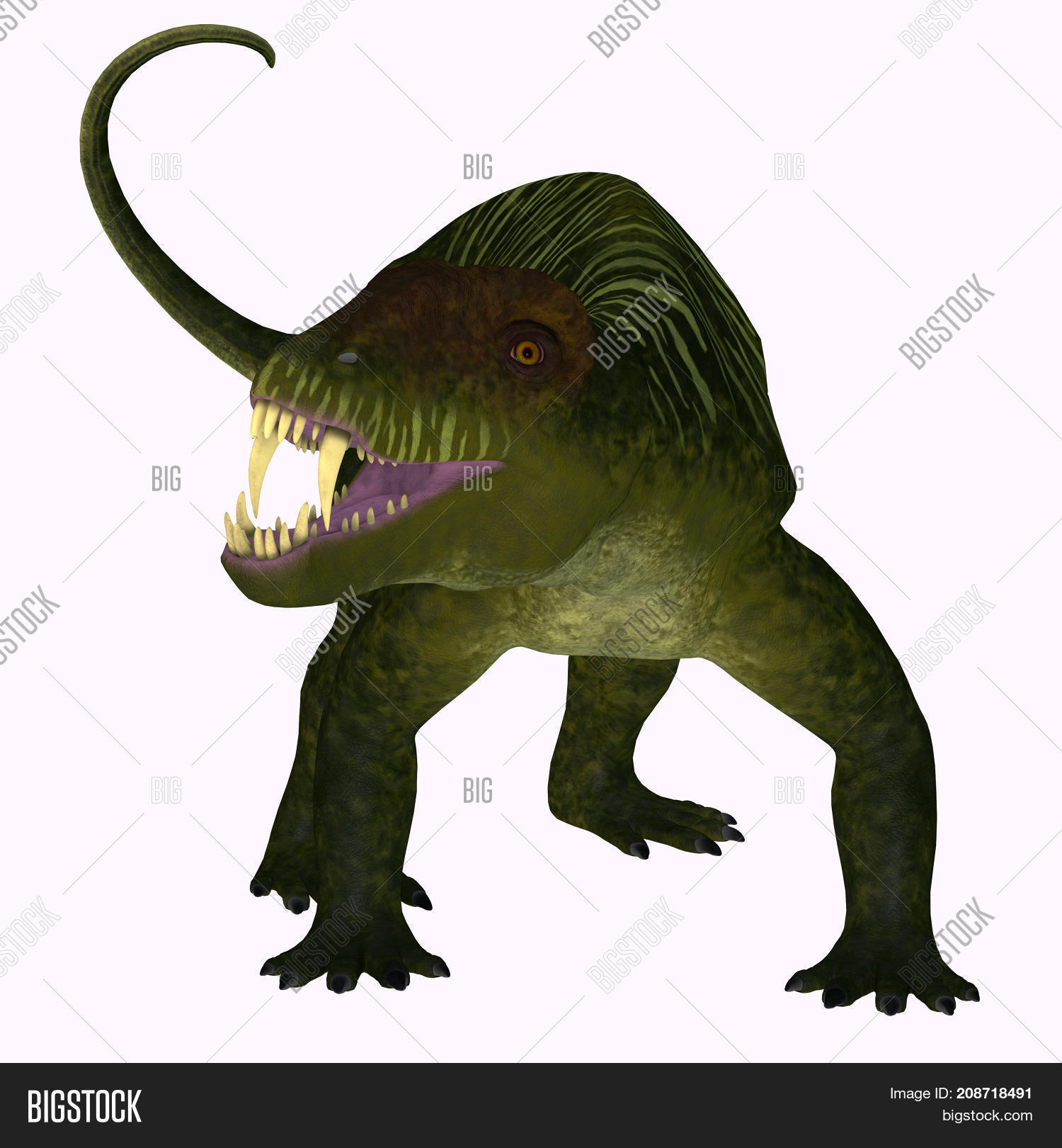 Doliosauriscus Image & Photo (Free Trial) | Bigstock