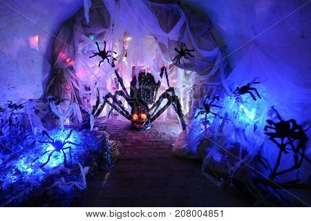 Spidery nest full of an artificial spiders