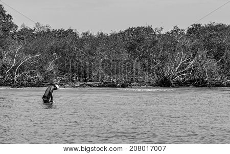 CARTAGENA COLOMBIA - JUNE 6 2015: Man on the outskirts of cartagena getting sustenance for his family fishing in the mangrove