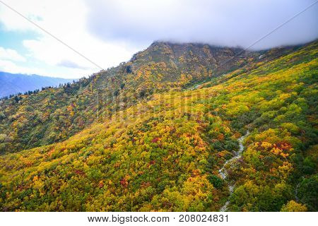 Mountain Scenery At Autumn In Japan