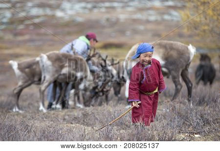 tsaatan boy in a landscape of northern mongolia with his father with reindeer at the background