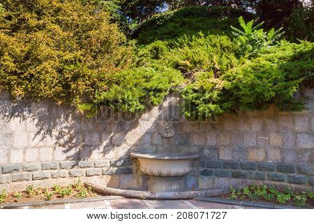 The Nikitsky Botanical Garden In Yalta