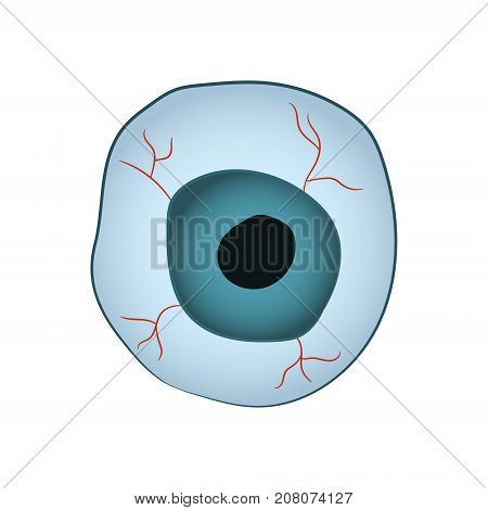 Cartoon image of the eyeball. Illustration for Halloween. Vector illustration. Hand drawing.