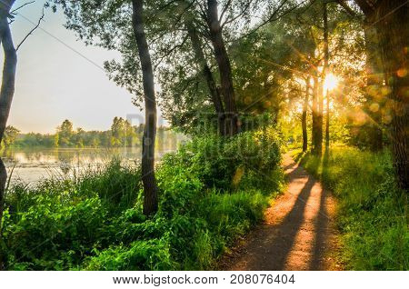 Beautiful forest with path near the river in russia