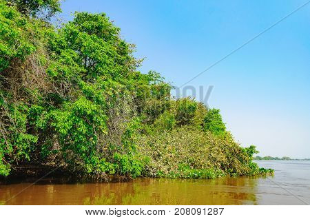 Landscape With The River And Green Vegetation Of Trees And Plants On The River Banks