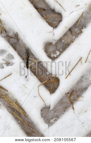 Agricultural Territory Covered With Snow. On The Surface Of Snow There Were Traces Of Car Tires