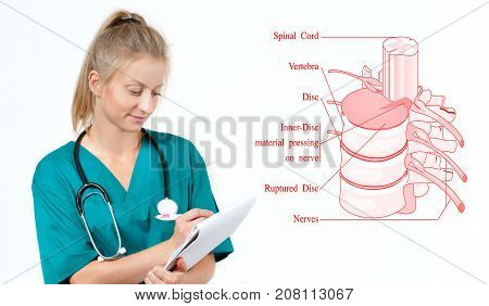 Medicine and Anatomy. Doctor and anatomical spine. Facet joints