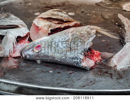 Fresh fish head with Dripping blood for sale on the seafood market.