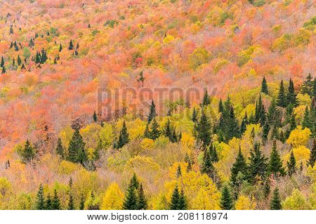 Fall Colours From Mount Megantic (eastern Townships, Quebec, Canada)