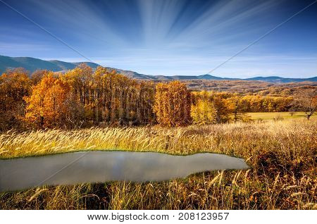 Mountain tree yellow grass hill and blue sky nature background