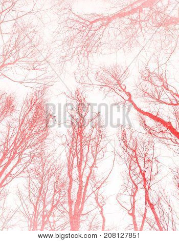 Sunset orange shade abstract pattern background / Nature theme