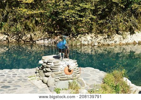 Peacock on Blue lake in the mountains of the North Caucasus