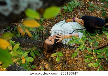 Young woman sitting in a tree, on a branch in the autumn seaston at sunset, talking on her smart phone, smiling and looking relaxed in nature