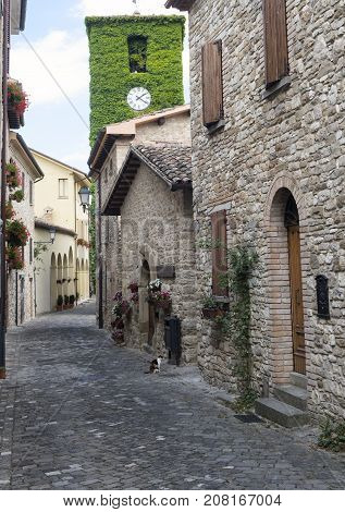 Frontino historic village in Montefeltro Pesaro Urbino Marches Italy). A street with the typical houses with plants and flowers