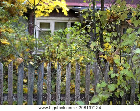 Wooden fence in the foreground and part of rustic house in the blurred background