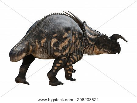 3D Rendering Dinosaur Einiosaurus On White