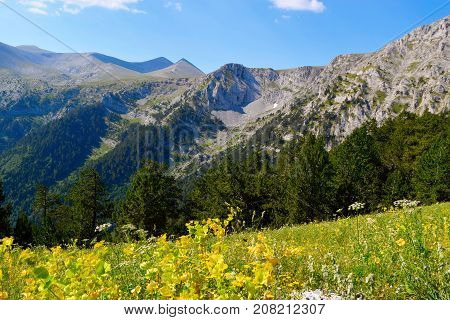 Olympus mountain range at summer in Greece.