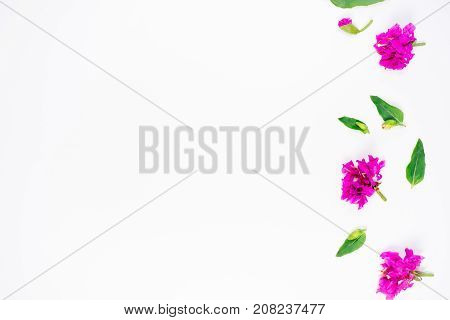 An image of composition made of flowers