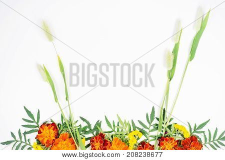 An image of composition made of flowers