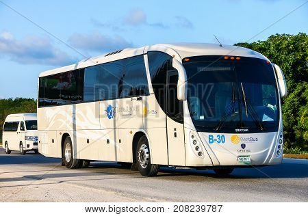 Beccar B330