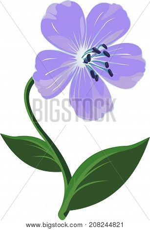 Vector art with beautiful blue flower on white background