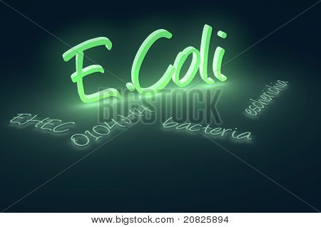 EHEC coli bakterie tekst