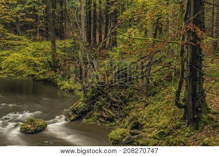 Chribska Kamenice River In National Park Ceske Svycarsko In Autumn Morning