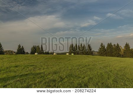 Color Evening In Slavkovsky Les National Park In Autumn Time
