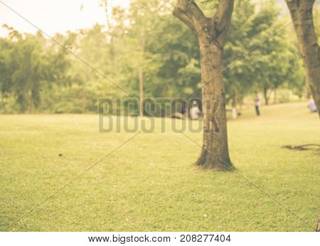 Blurred Background,people Exercise At Green Park With Bokeh Light. Healthy Lifestyle Concept