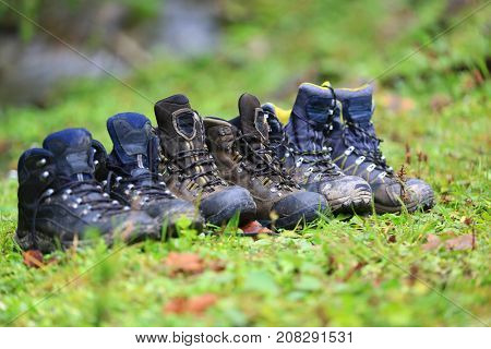 tourist booos on gren grass meadow in forest