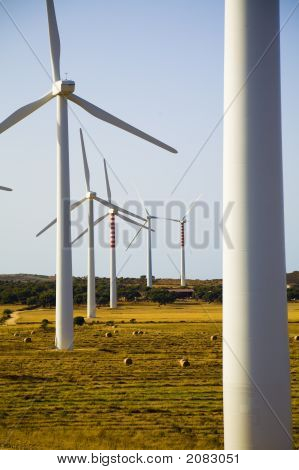 Turbina eolica