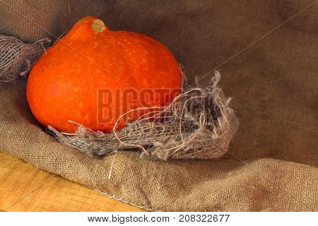 composition with pumpkins on rustick wooden background closeup horizontal