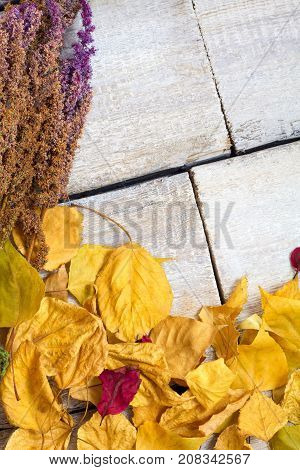 Colorful Autumn Leaves On Old Wooden Table