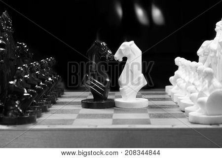 Black and White chess setup on dark background . Leader and teamwork concept for success