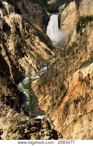 Yellowstone Falls And Canyon 