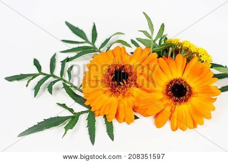 An image of composition made of flowers