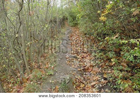 Autumn Natural Landscape Of Prokopske Udoli In Prague
