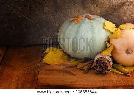 Autumn background with yellow maple leaves pumpkins and cinnamon on aged wood with copy space. Mockup for seasonal offers and holiday post card