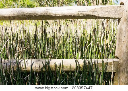 old wooden fence in meadow grass reed plank park naturesunny day